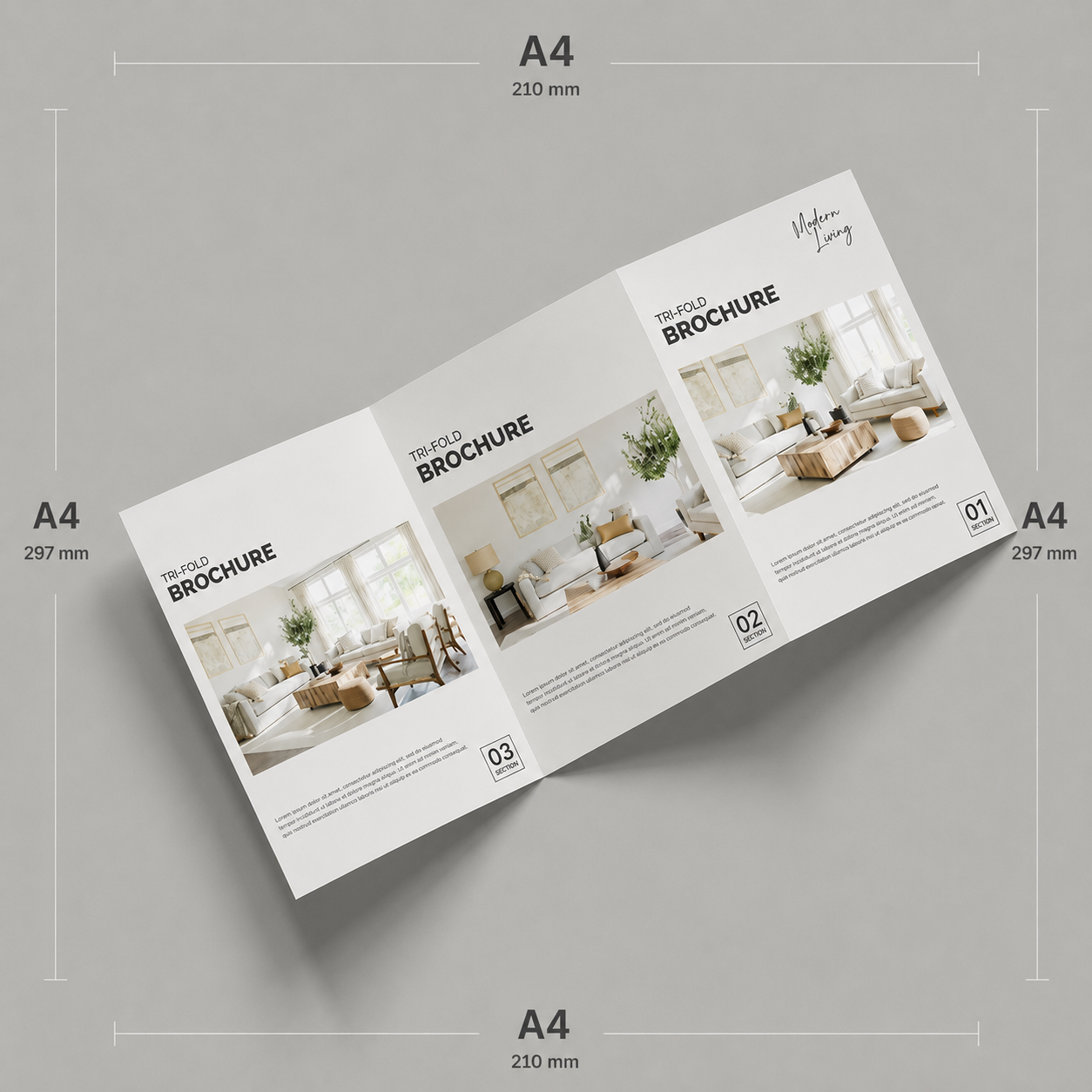Tri Fold Brochure