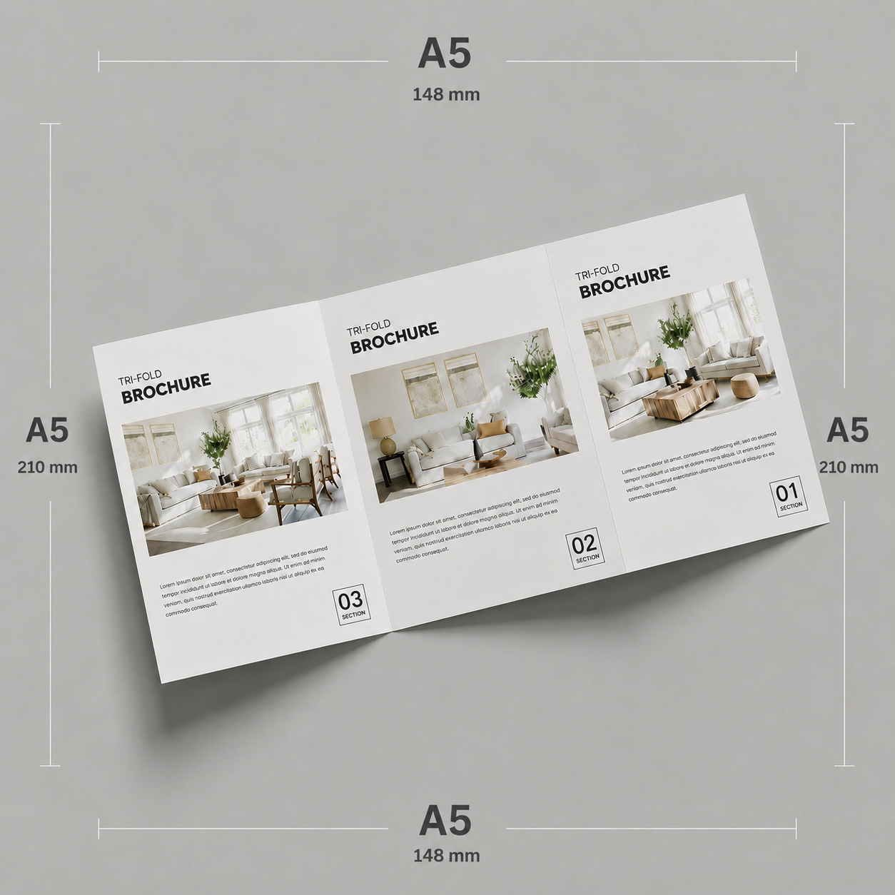 Tri Fold Brochure